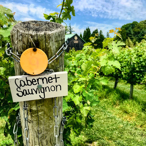 Winery «Cape May Winery», reviews and photos, 711 Town Bank Rd, Cape May, NJ 08204, USA