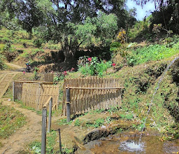 Wisata Sumber Waras , Jurangrejo , pujon , malang photo