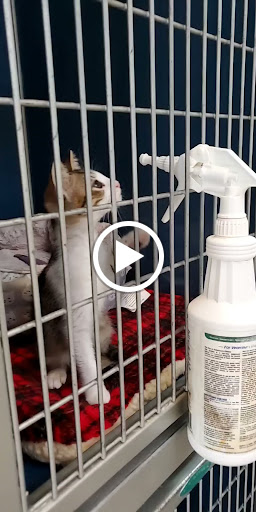 Non-Profit Organization «Heartland Humane Society», reviews and photos, 398 SW Twin Oaks Cir, Corvallis, OR 97333, USA