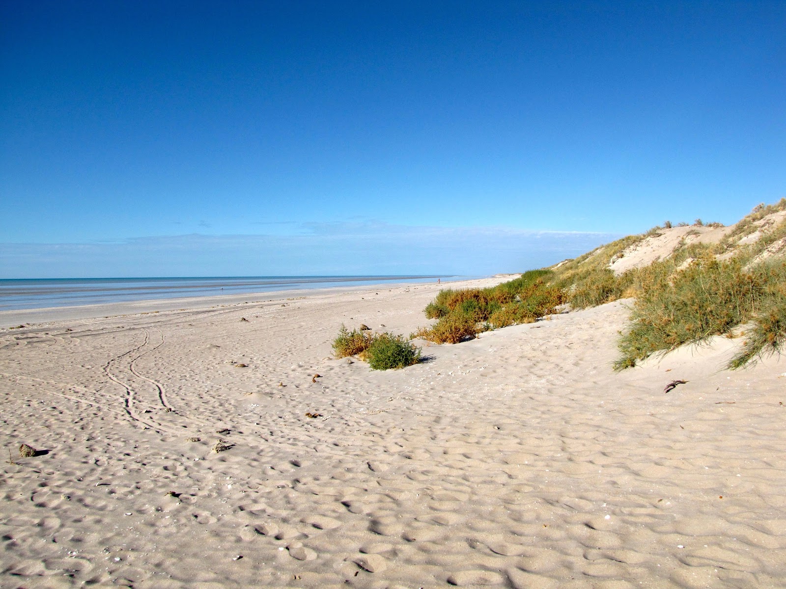 Foto di Ninety Mile Beach con una superficie del sabbia beige