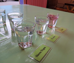 La Mezcalería photo