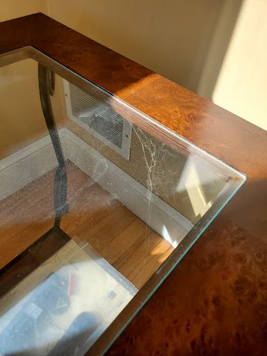 House Cleaning Service «MOLLY MAID of Chelmsford», reviews and photos, 15 Tyngsboro Rd #16, North Chelmsford, MA 01863, USA