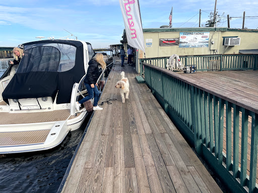 Marina «Bullfrog Marina», reviews and photos, 17251 Bacon Island Rd, Stockton, CA 95219, USA