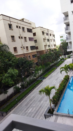 Google Maps image 12