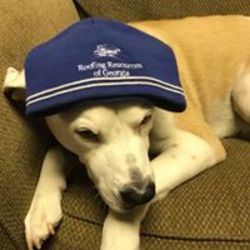 Roofing Contractor «Roofing Resources of Georgia, LLC», reviews and photos, 125 Ethan Allen Dr, Dahlonega, GA 30533, USA