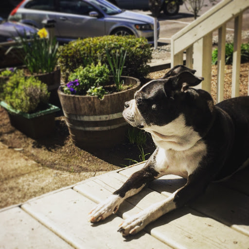 Gun Shop «Sporting Systems», reviews and photos, 408 W 9th St, Vancouver, WA 98660, USA