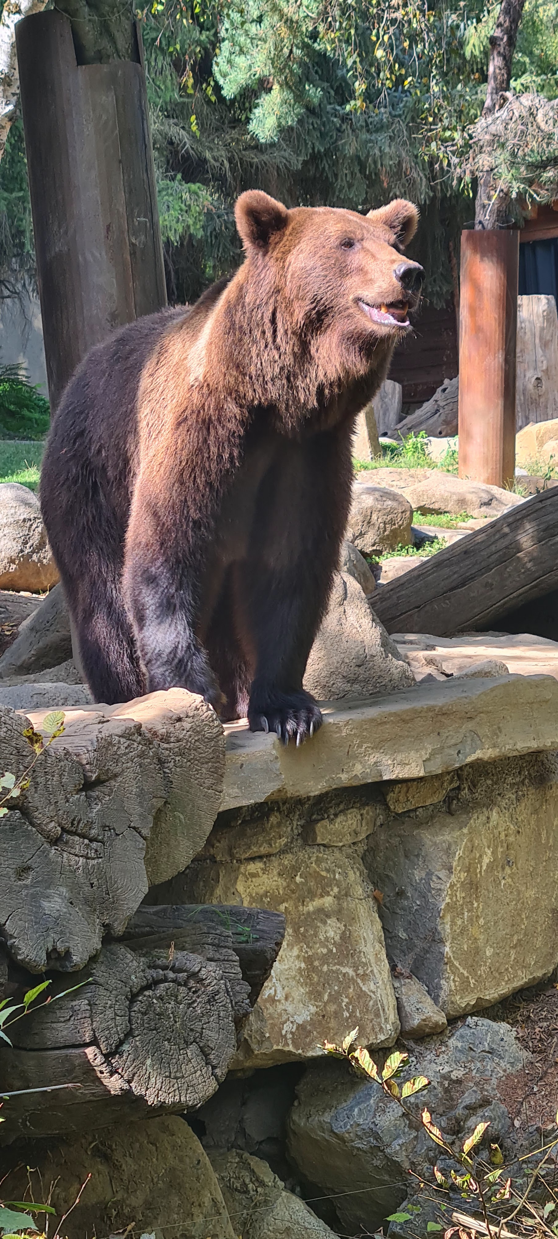 Photo n° 23 de l'avis de Jacky.r fait le 18/09/2022 à 05:13