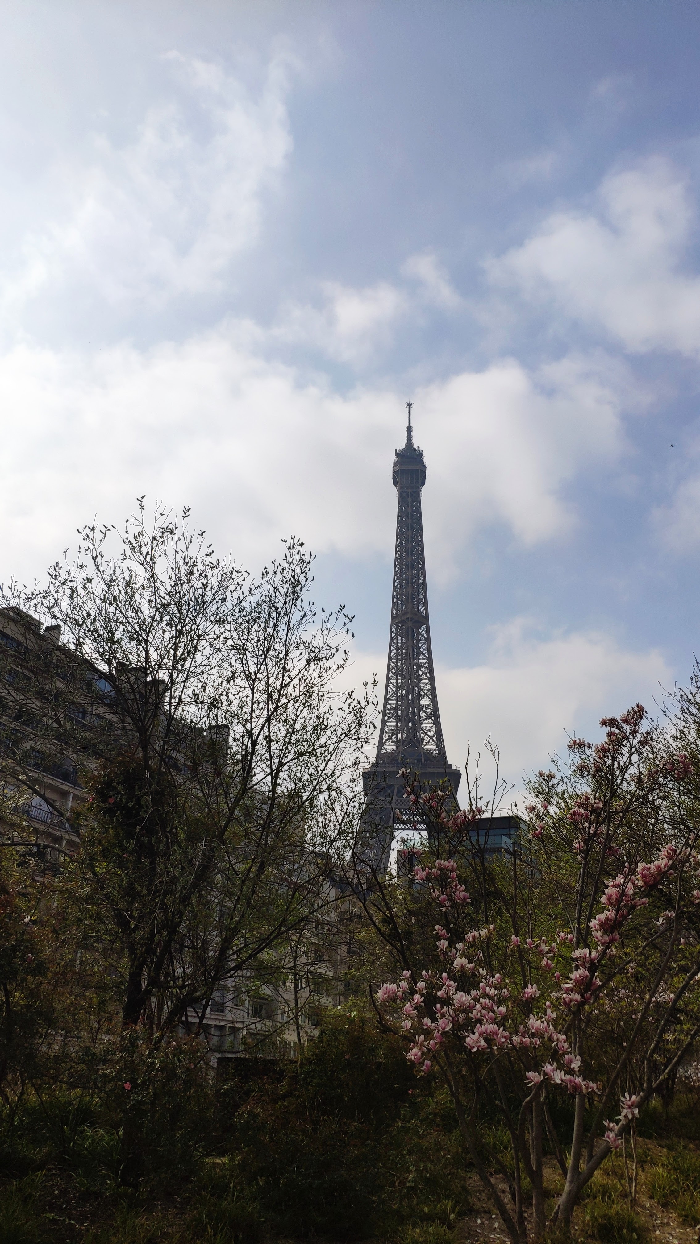 Photo n° 3 de l'avis de Emmanuel.o fait le 23/03/2019 à 15:07