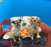 Uncle Fredie's House Of Pets - Photo 8 - Car repair in Reno, NV, Reno