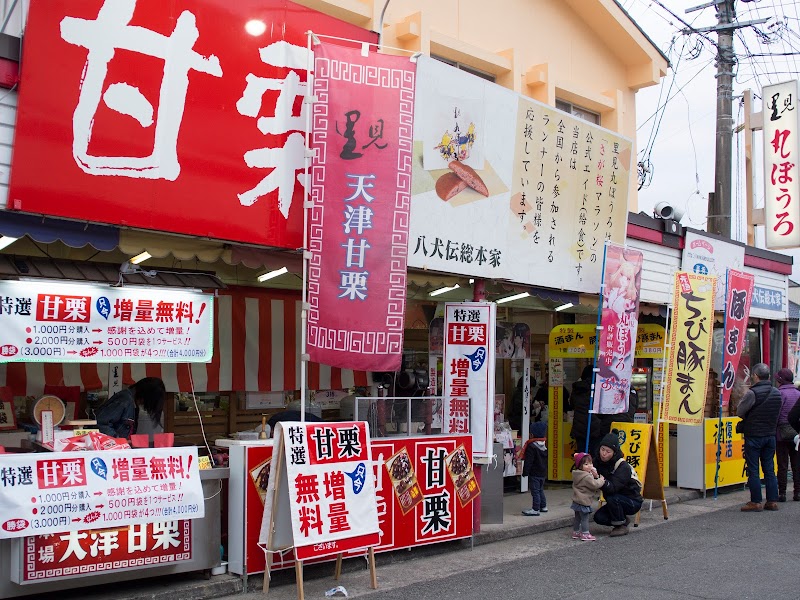 八犬伝総本家