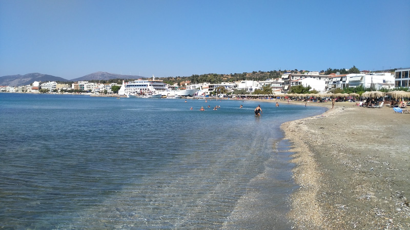 Foto af Nea Stira beach med grønt rent vand overflade