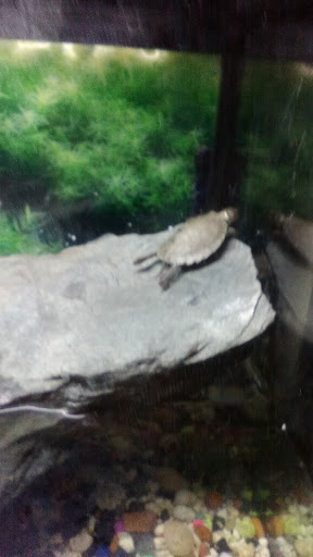 Pet Supply Store «Pure Paradise Pets», reviews and photos, 39 Putnam Pike, Johnston, RI 02919, USA