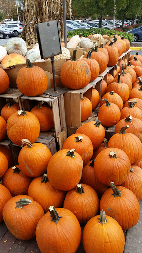 Shopping Mall «Downtown Silver Spring», reviews and photos, 908 Ellsworth Dr, Silver Spring, MD 20910, USA