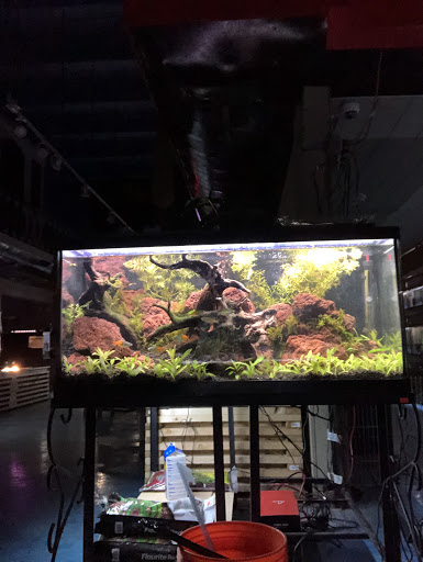 Pet Store «Greenwood Pets & Plants», reviews and photos, 13983 E 9 Mile Rd, Warren, MI 48089, USA