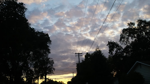 Shopping Mall «Marconi & Walnut Shopping Center», reviews and photos, 4949 Marconi Ave, Carmichael, CA 95608, USA