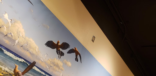 Museum «Museum of Natural and Cultural History», reviews and photos, 1680 E 15th Ave, Eugene, OR 97401, USA