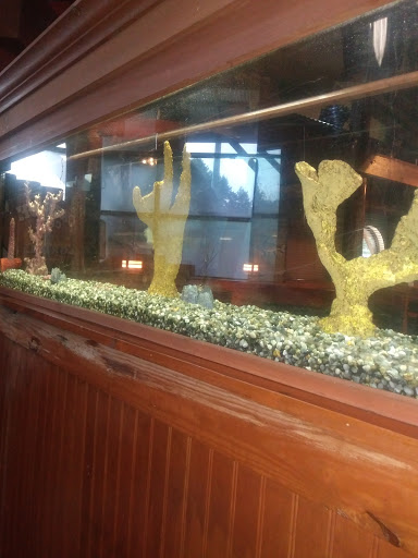 Caterer «Catfish City & BBQ Grill», reviews and photos, 1817 S University Ave, Little Rock, AR 72204, USA