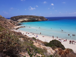 Foto von Dei Conigli Strand und seine wunderschöne Landschaft