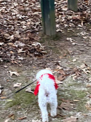 Park «Ocee Park», reviews and photos, 10900 Buice Rd, Johns Creek, GA 30022, USA