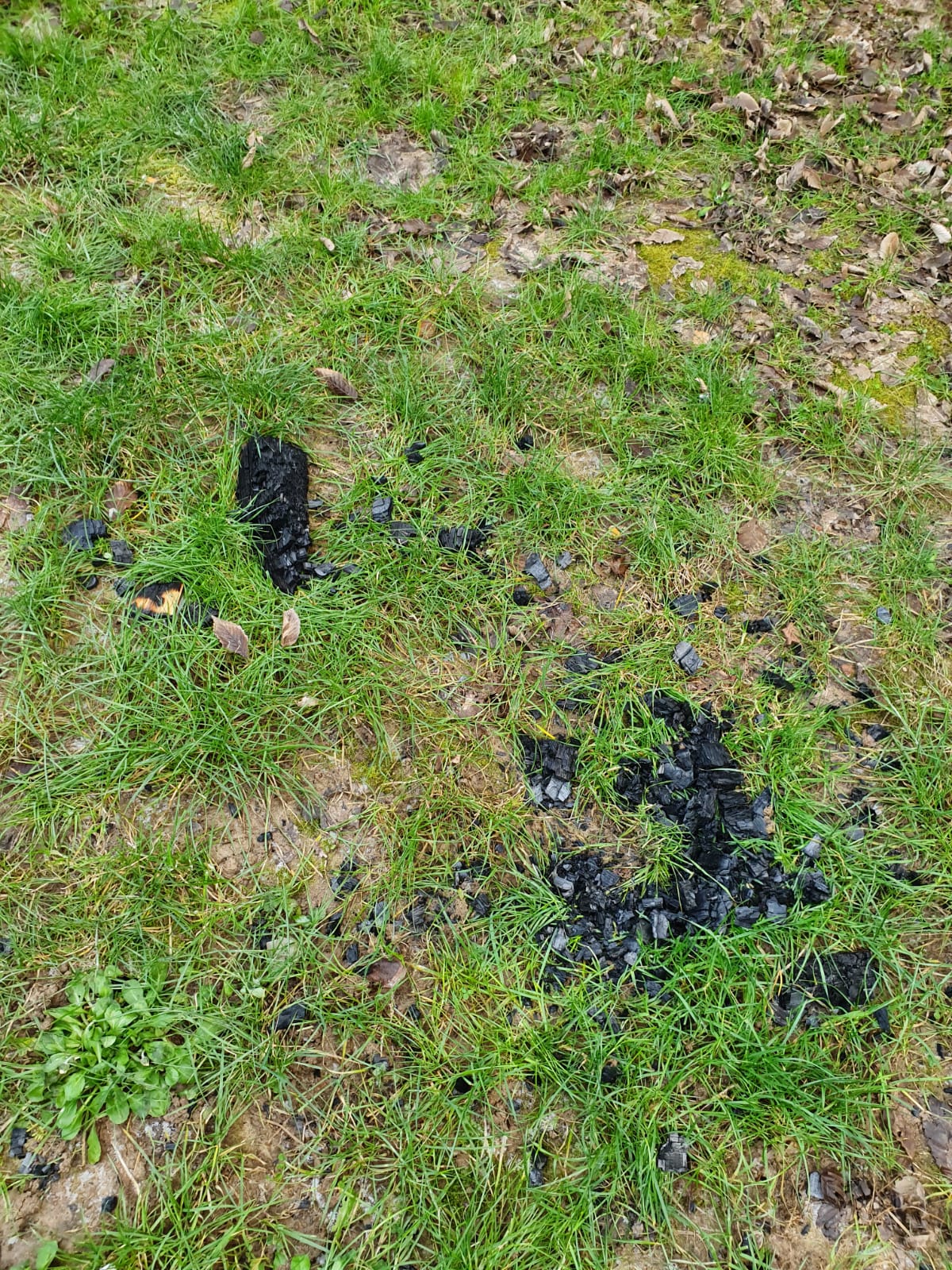 Photo n° 17 de l'avis de Lucile.e fait le 14/02/2023 à 17:09