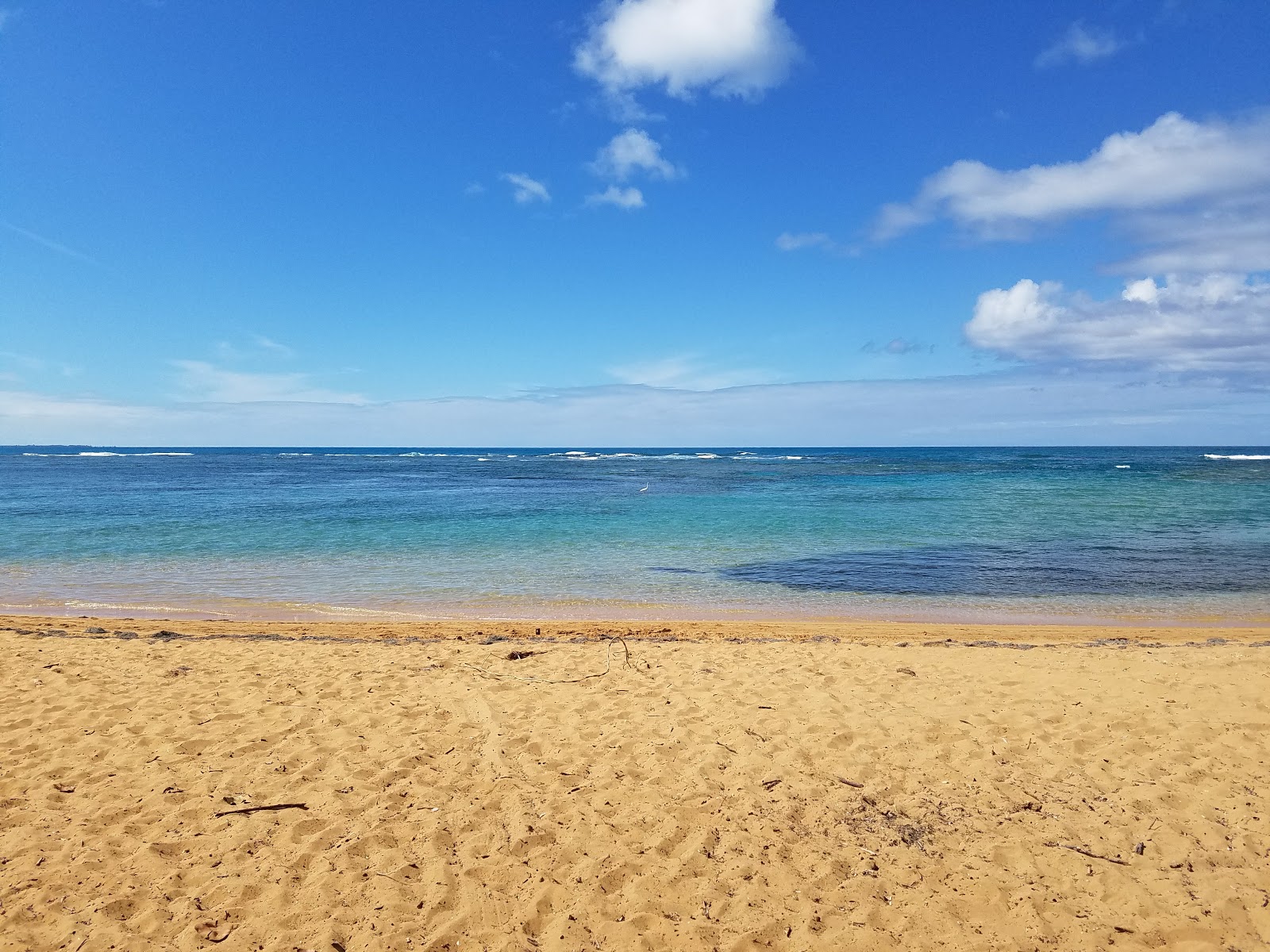 Photo de Playa Escondida avec droit et long