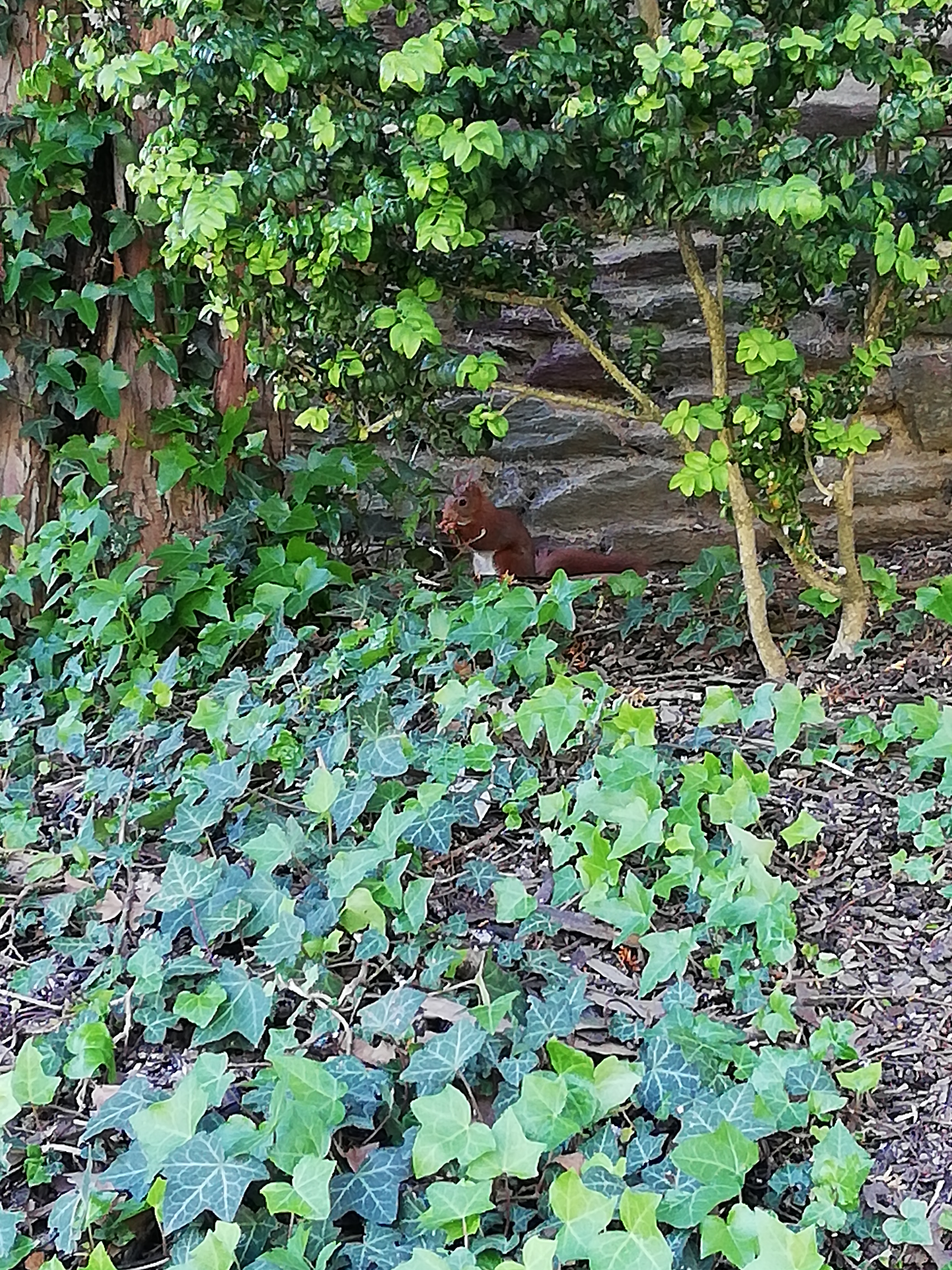 Photo n° 1 de l'avis de Élisabeth.e fait le 11/05/2019 à 19:00