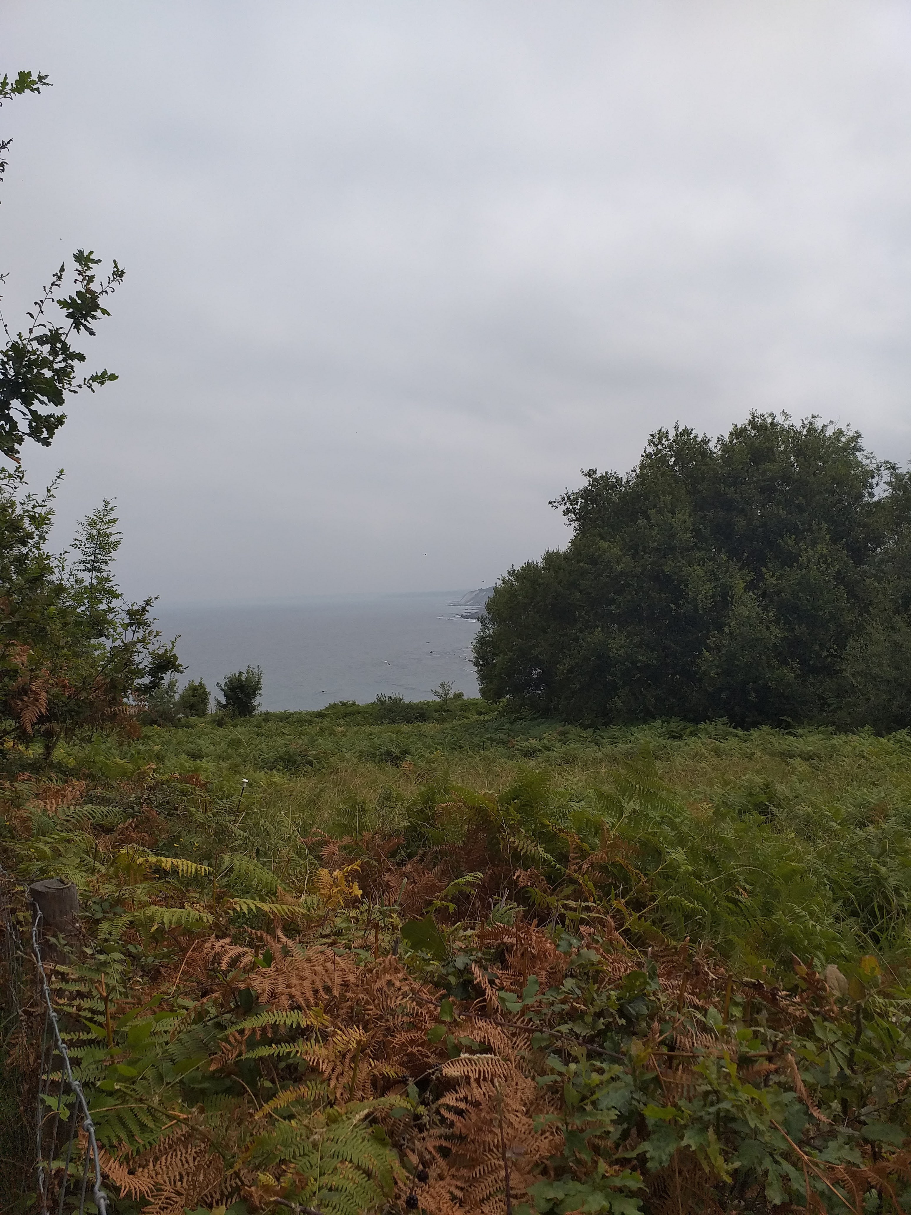 Photo n° 8 de l'avis de Isabel.e fait le 12/08/2022 à 13:40