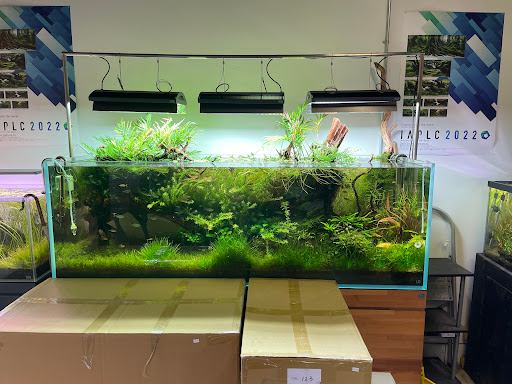 Nature Aquarium image