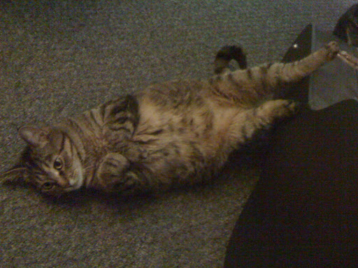 Golf Course «Hiawatha Golf Course», reviews and photos, 4553 Longfellow Ave, Minneapolis, MN 55407, USA