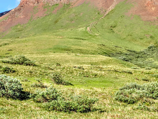 National Park «Denali National Park and Preserve», reviews and photos