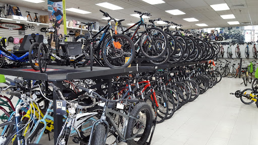 Bicycle Store «Bloomfield Bicycle & Repair Shop», reviews and photos, 38 Tunxis Ave, Bloomfield, CT 06002, USA