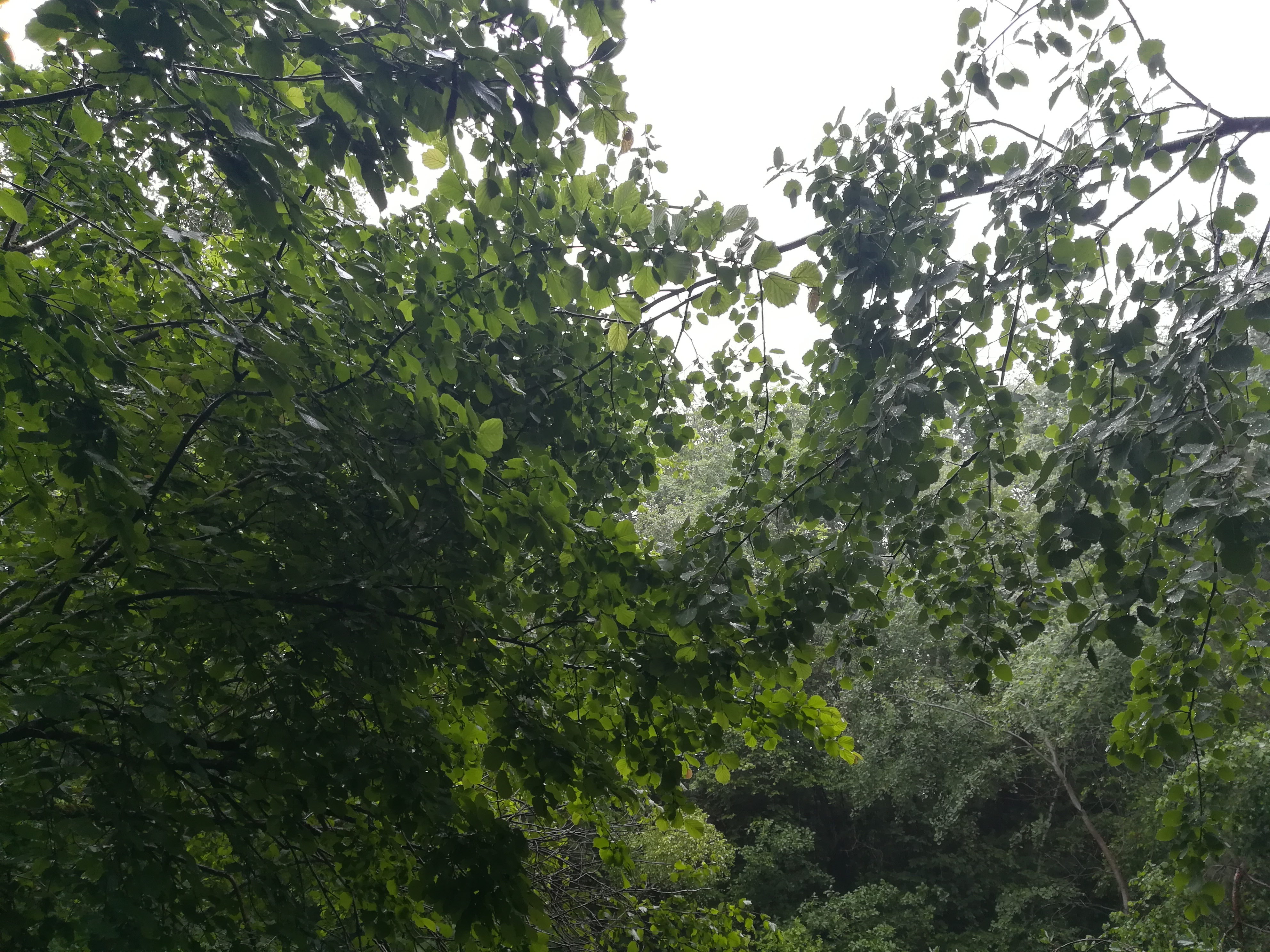Photo n° 29 de l'avis de Nathalie.e fait le 17/06/2019 à 19:40