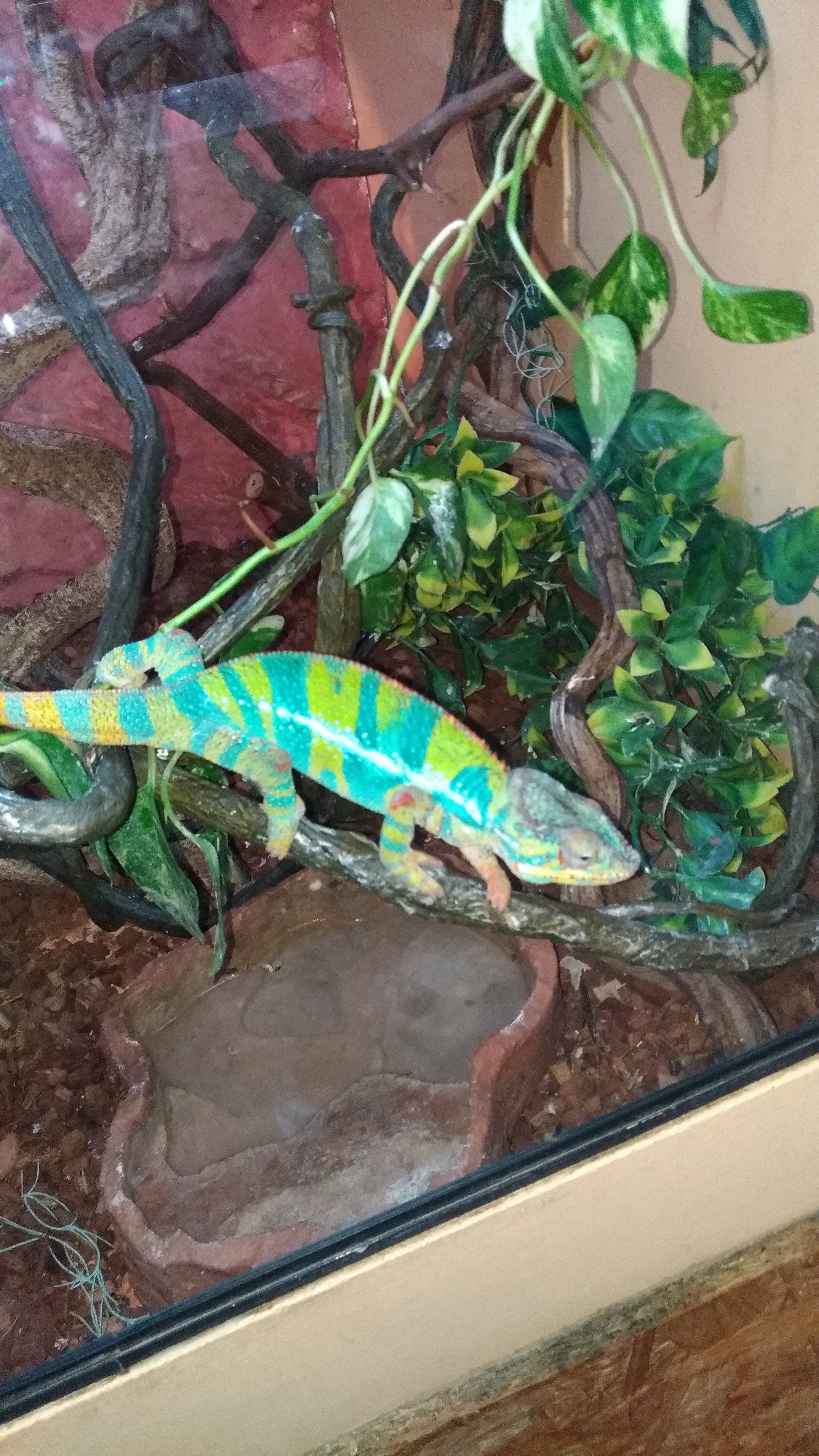 Photo n° 4 de l'avis de Odalisque.2 fait le 21/08/2019 à 20:36