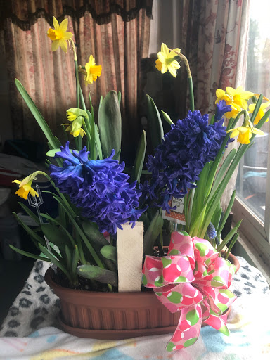 Florist «Lakeside Florist», reviews and photos, 744 Capital Ave SW, Battle Creek, MI 49015, USA