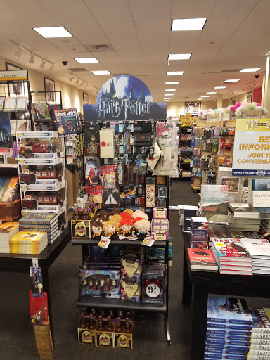 Book Store «Books-A-Million», reviews and photos, 1250 Baltimore Pike L31A, Springfield, PA 19064, USA