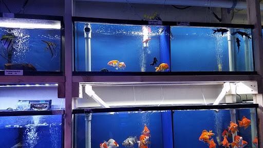 Pet Store «Pet World», reviews and photos, 891 Harriman Pl, San Bernardino, CA 92408, USA
