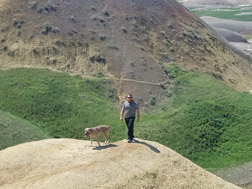 National Park «Badlands National Park», reviews and photos