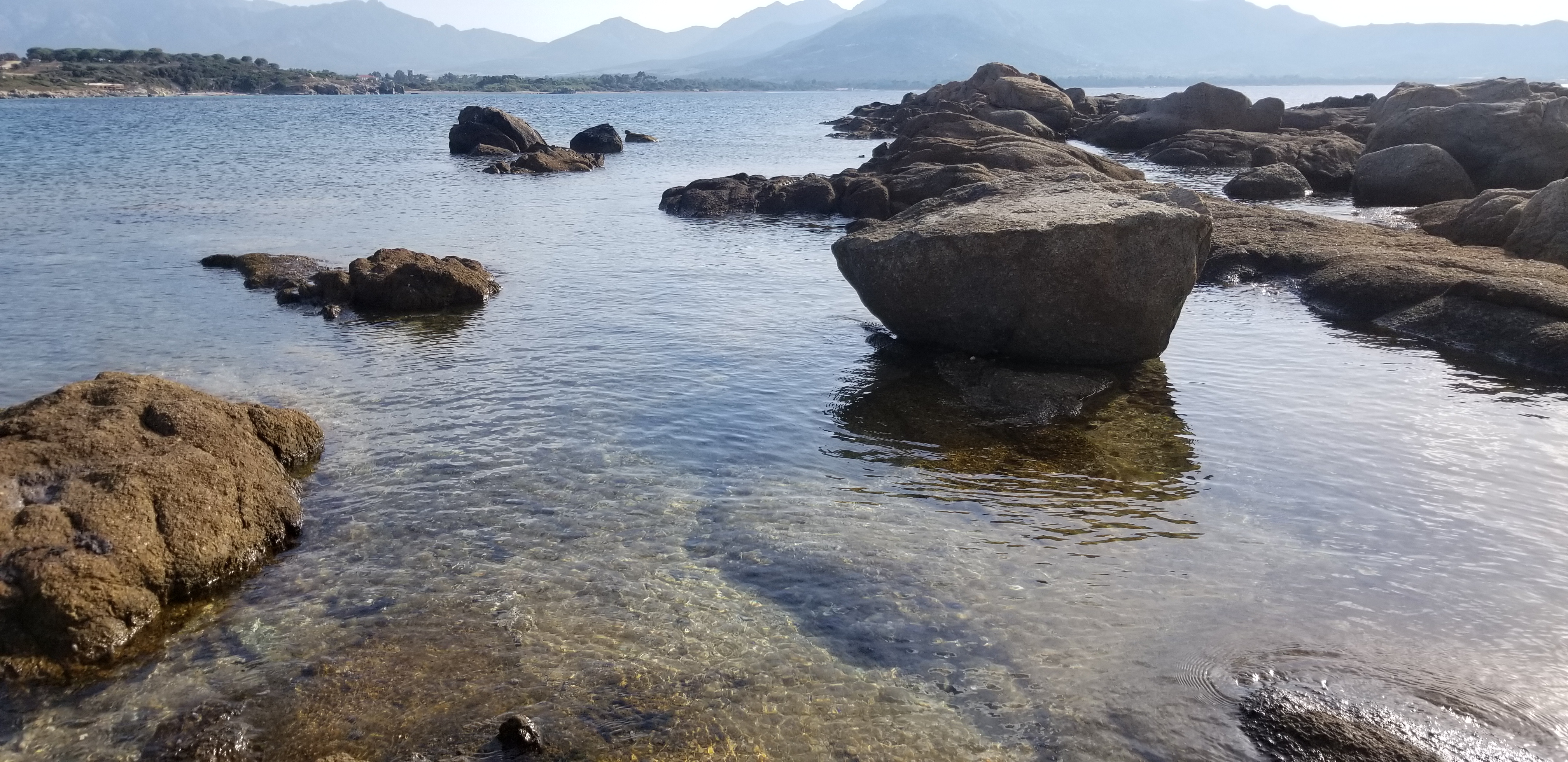Photo n° 4 de l'avis de Jean-Luc.a fait le 26/09/2023 à 14:59