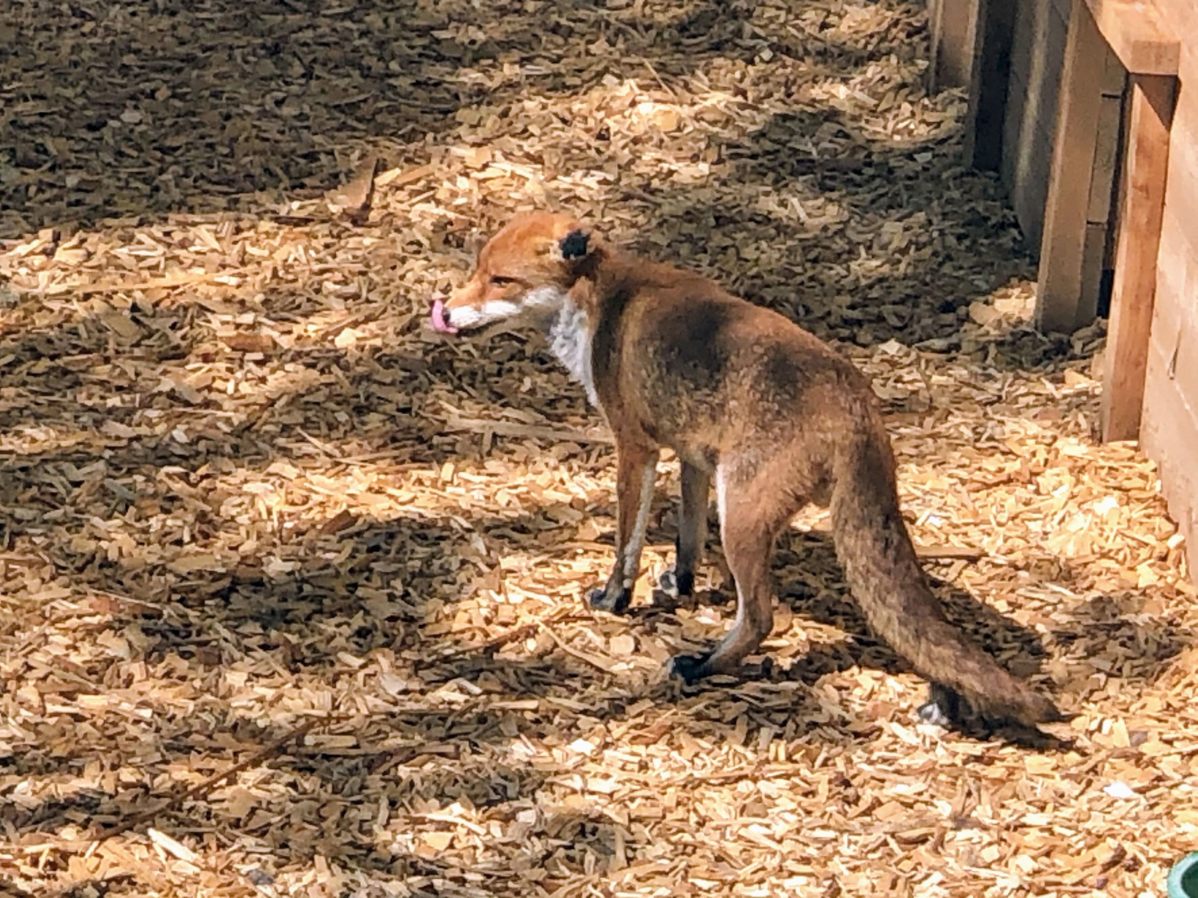 Photo n° 12 de l'avis de Jérémie.r fait le 28/08/2020 à 17:19
