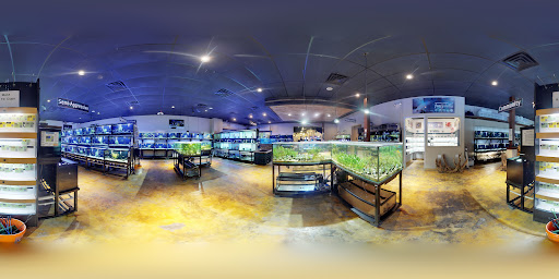 Tropical Fish Store «Fish Gallery», reviews and photos, 2909 Fountain View Dr, Houston, TX 77057, USA