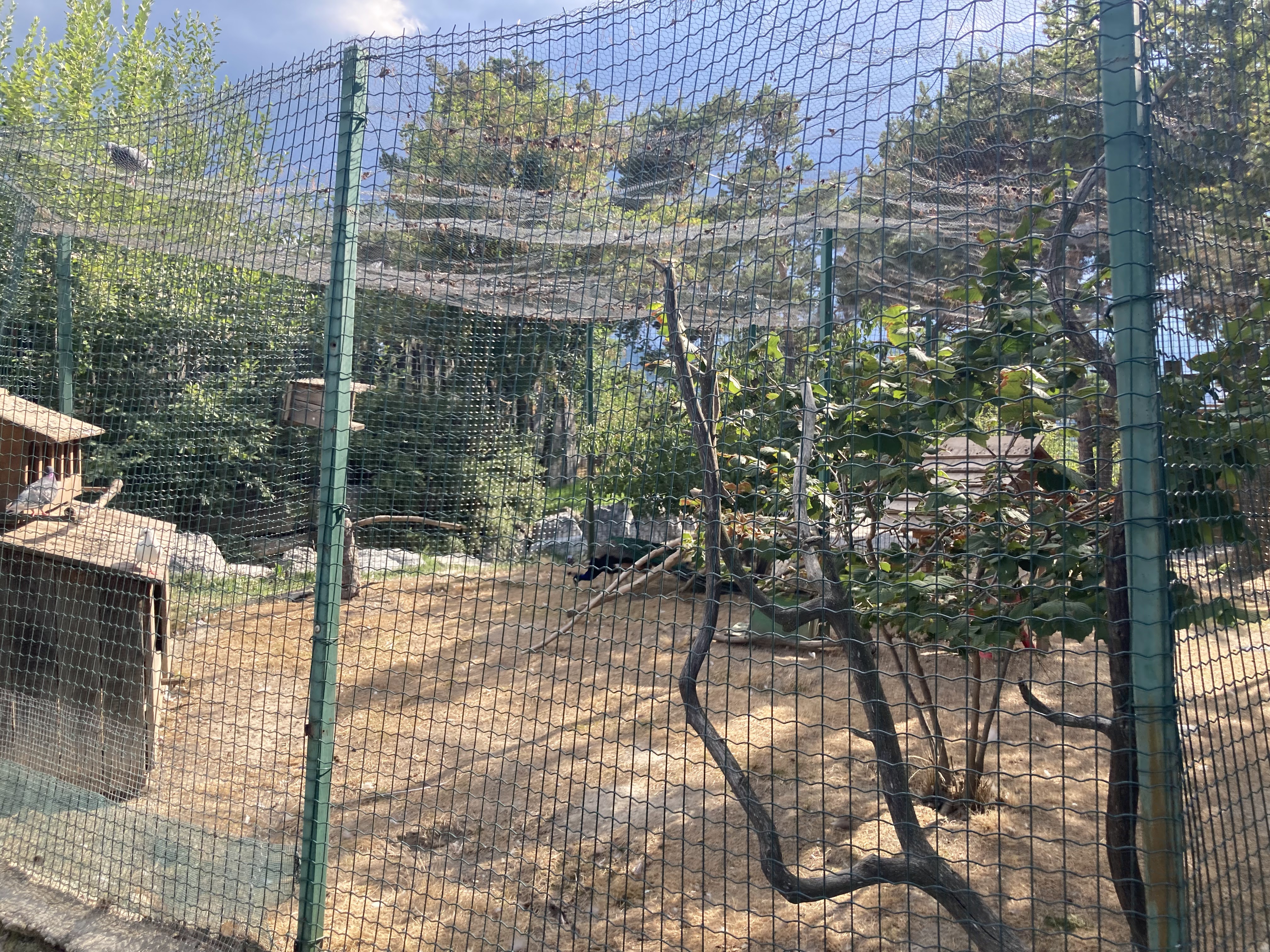 Photo n° 8 de l'avis de Laurianne.o fait le 26/08/2022 à 16:16