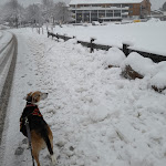Photo n°1 de l'avis de Claudia.r fait le 15/02/2022 à 21:10 sur le  Karma Bavaria à Schliersee