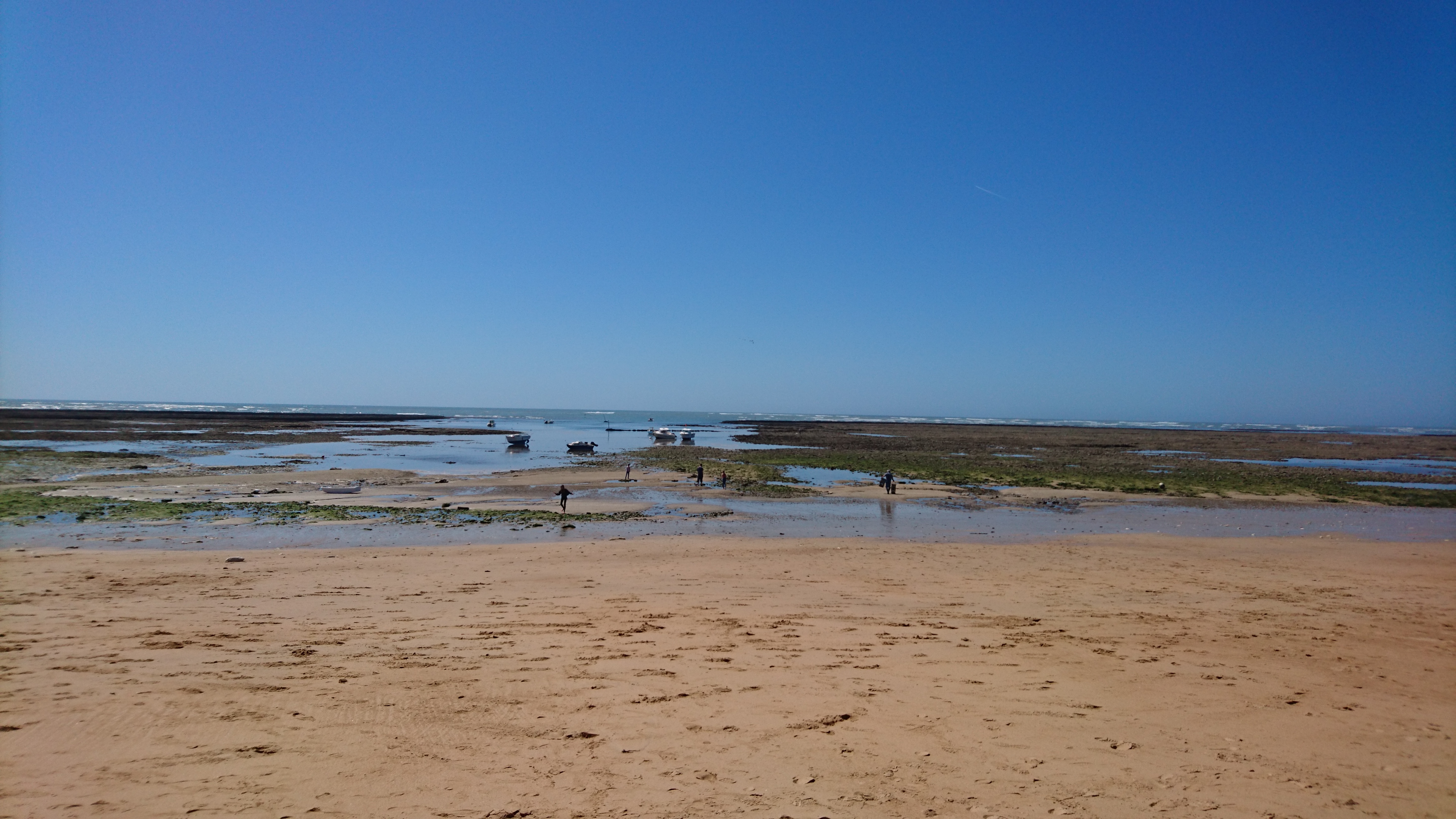 Photo n° 2 de l'avis de MAM.O fait le 19/04/2018 à 10:42