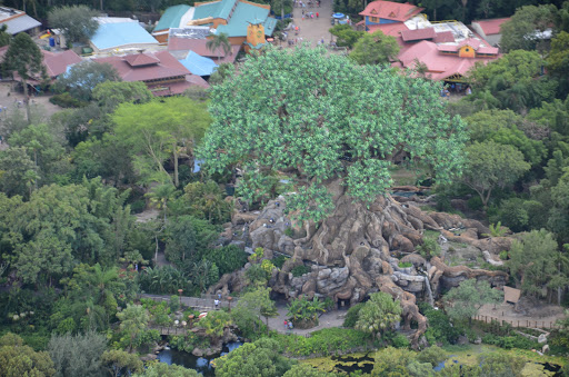 Heliport «Air Florida Helicopter Inc», reviews and photos, 8990 International Dr, Orlando, FL 32819, USA