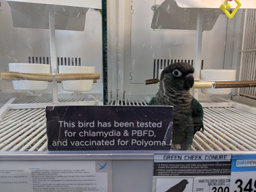 Pet Supply Store «Petco Animal Supplies», reviews and photos, 10055 Wellington Rd, Manassas, VA 20110, USA