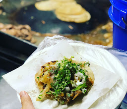 Tacos papa el Gonza photo