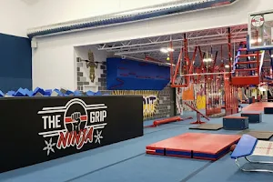 The Grip Ninja image