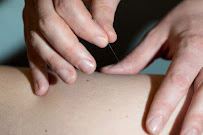 Wildwood Acupuncture - Photo 4 - Car repair in Portland, OR, Hillsboro