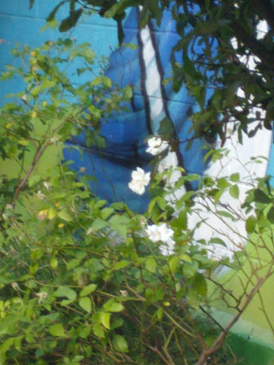 Social Services Organization «The Shade Tree», reviews and photos