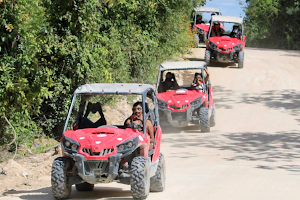 Jungle Buggy Tour image